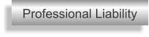 Professional Liability